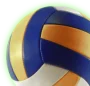 sports_volley